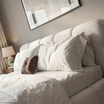 Modern White Bed
