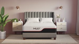 MLily dream mattress Queen size