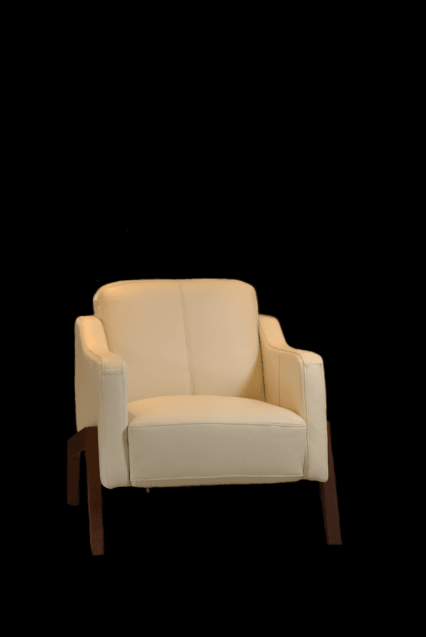 Modern Accent Armchair