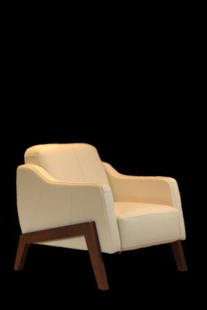 Modern Accent Armchair